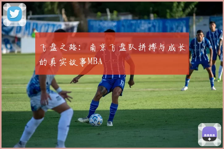 飞盘之路：南京飞盘队拼搏与成长的真实故事MBA