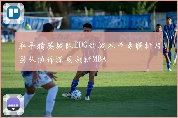 和平精英战队EDG的战术节奏解析与团队协作深度剖析MBA