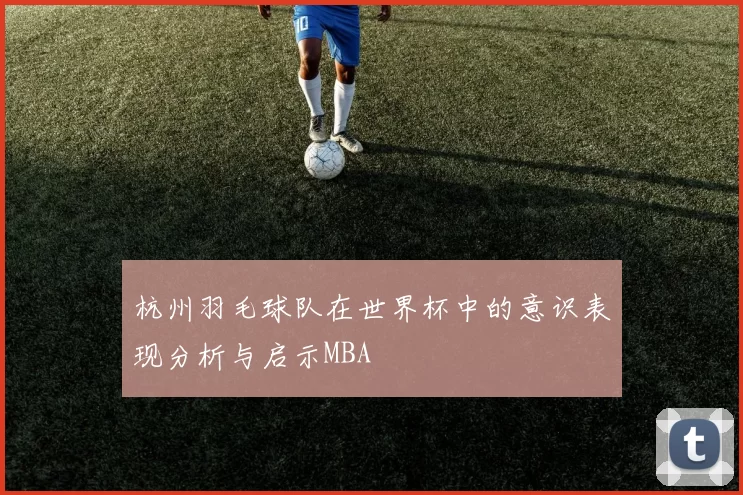 杭州羽毛球队在世界杯中的意识表现分析与启示MBA