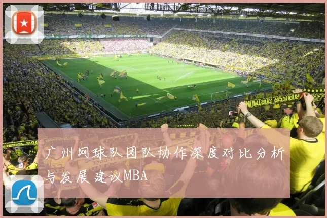 广州网球队团队协作深度对比分析与发展建议MBA